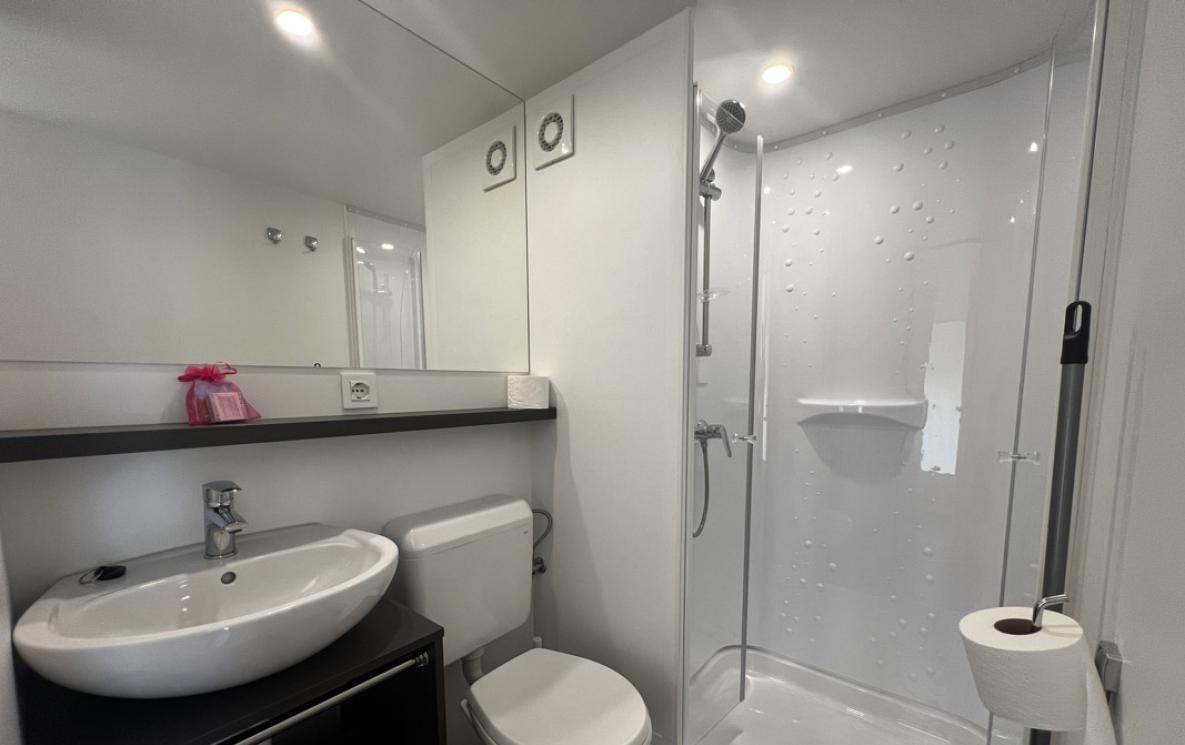 Modern bathroom with shower, sink, and toilet.