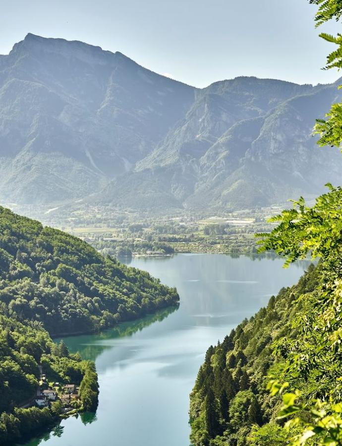 Panorama montano con lago e foresta verde.